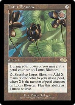 画像1: 水蓮の花/Lotus Blossom (USG)