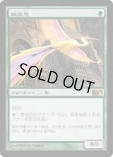 極楽鳥/Birds of Paradise (M10)