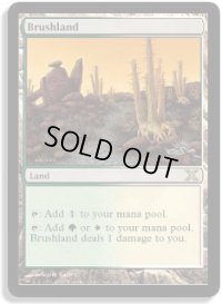 低木林地/Brushland (10E)《Foil》