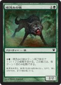 暗茂みの狼/Darkthicket Wolf (ISD)