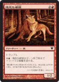 残忍な峰狼/Feral Ridgewolf (ISD)