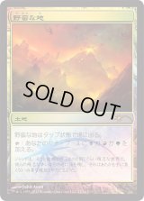 野蛮な地/Savage Lands (FNM)
