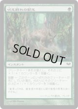 吠え群れの飢え/Hunger of the Howlpack (DKA)
