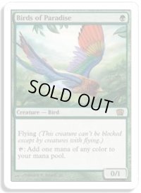 極楽鳥/Birds of Paradise (8ED)