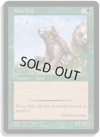 仔熊/Bear Cub   (PO2)
