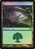 森/Forest (MPS)【2009】《Foil》