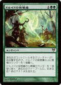 ドルイドの保管庫/Druids' Repository (AVR)