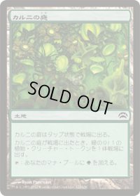 カルニの庭/Khalni Garden (P12)