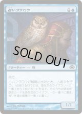 占いフクロウ/Augury Owl (P12)