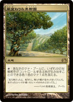 画像1: 風変わりな果樹園/Exotic Orchard (P12)