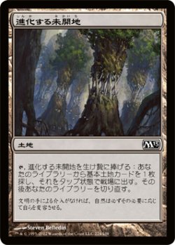 画像1: 進化する未開地/Evolving Wilds (M13)