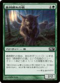 森林群れの狼/Timberpack Wolf (M13)