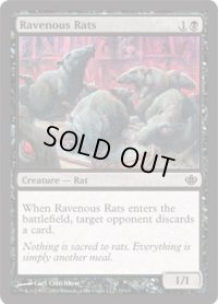 貪欲なるネズミ/Ravenous Rats (DDD)