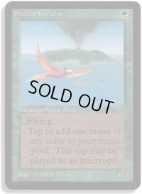 極楽鳥/Birds of Paradise (LEB)