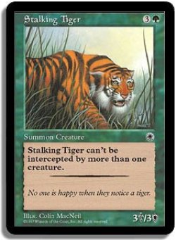 画像1: 忍び寄る虎/Stalking Tiger (POR)