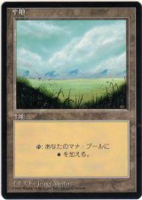 平地/Plains【日本語：黒枠】【Ver.2】(4ED)