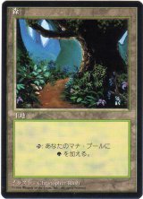 森/Forest【日本語：黒枠】【Ver.1】(4ED)