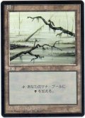 沼/Swamp【日本語：黒枠】【Ver.3】(4ED)