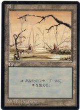 沼/Swamp【日本語：黒枠】【Ver.1】(4ED)