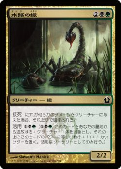 画像1: 水路の蠍/Sluiceway Scorpion (RTR)