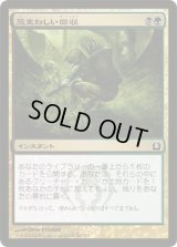 忌まわしい回収/Grisly Salvage (RTR)