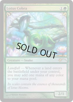 画像1: 水蓮のコブラ/Lotus Cobra (Grand Prix)