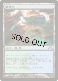繁殖池/Breeding Pool (GTC)