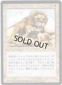 画像1: サバンナ・ライオン/Savannah Lions【日本語：黒枠】(4ED)