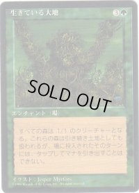 生きている大地/Living Lands【日本語：黒枠】(4ED)
