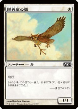 画像1: 陽光尾の鷹/Suntail Hawk (M14)