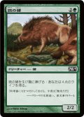 斑の猪/Brindle Boar (M14)