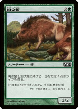 画像1: 斑の猪/Brindle Boar (M14)