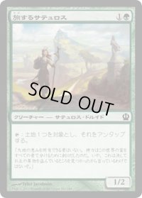 旅するサテュロス/Voyaging Satyr (THS)