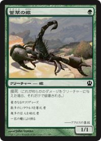 菅草の蠍/Sedge Scorpion (THS)