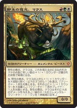 画像1: 野生の意志、マラス/Marath, Will of the Wild (C13)