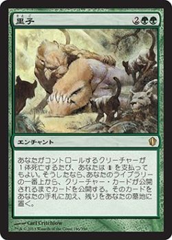 画像1: 里子/Foster (C13)