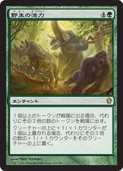 画像1: 野生の活力/Primal Vigor (C13)