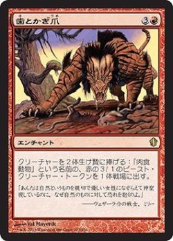 画像1: 歯とかぎ爪/Tooth and Claw (C13)