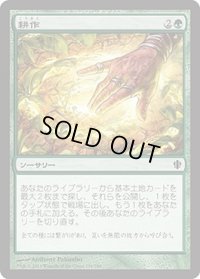 耕作/Cultivate (C13)