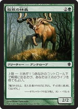 画像1: 放牧の林鹿/Grazing Gladehart (C13)