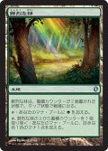 鮮烈な林/Vivid Grove (C13)