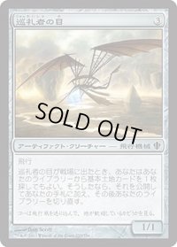 巡礼者の目/Pilgrim's Eye (C13)