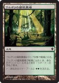 ゴルガリの腐敗農場/Golgari Rot Farm (C13)