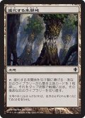 進化する未開地/Evolving Wilds (C13)