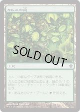 カルニの庭/Khalni Garden (C13)