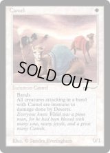 Camel (ARN)