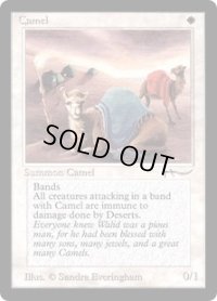 Camel (ARN)