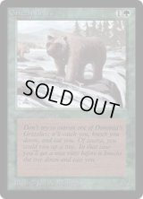 灰色熊/Grizzly Bears (LEB)