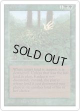 Kudzu (2ED)