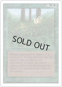 Kudzu (2ED)